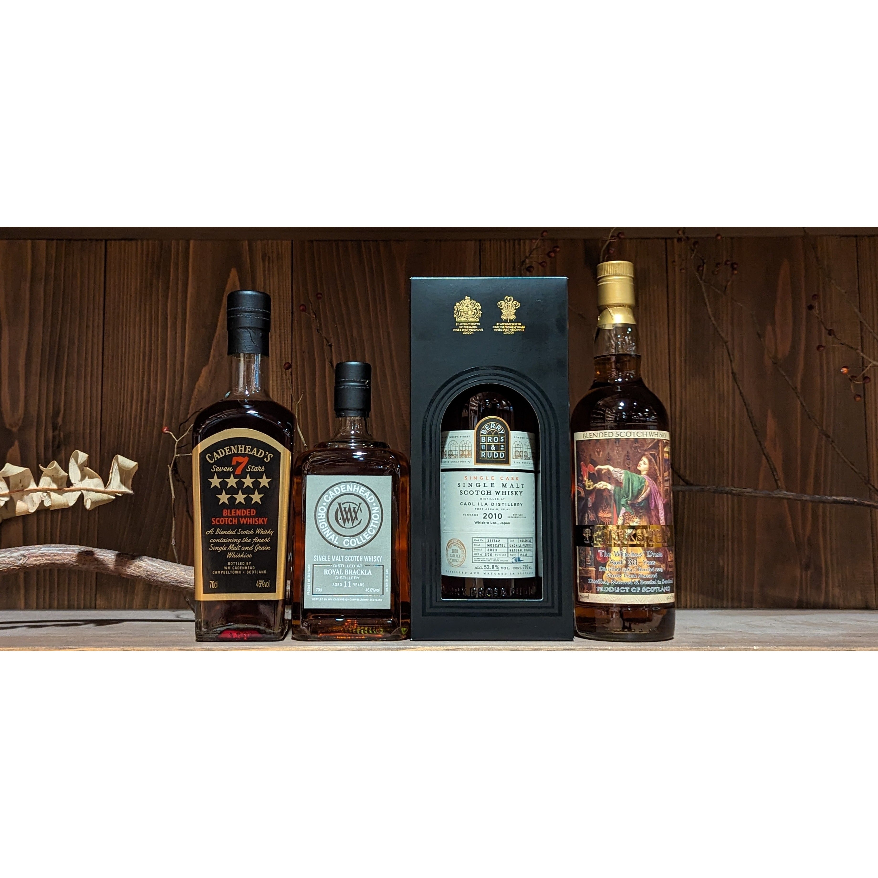 トリックスター ウィッチズドラム 38年 トリックスター ウィッチズ