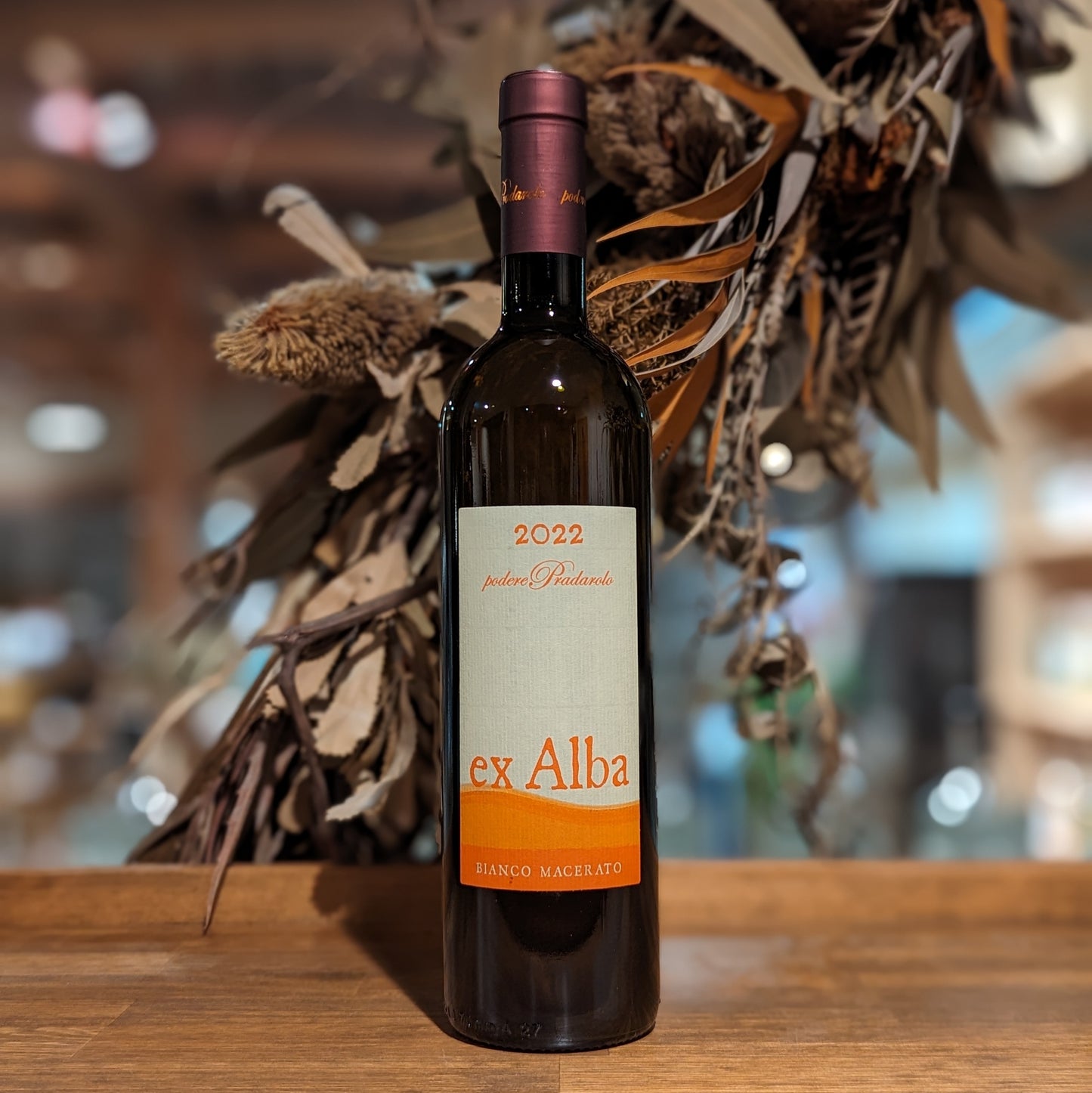 エクス アルバ 2022