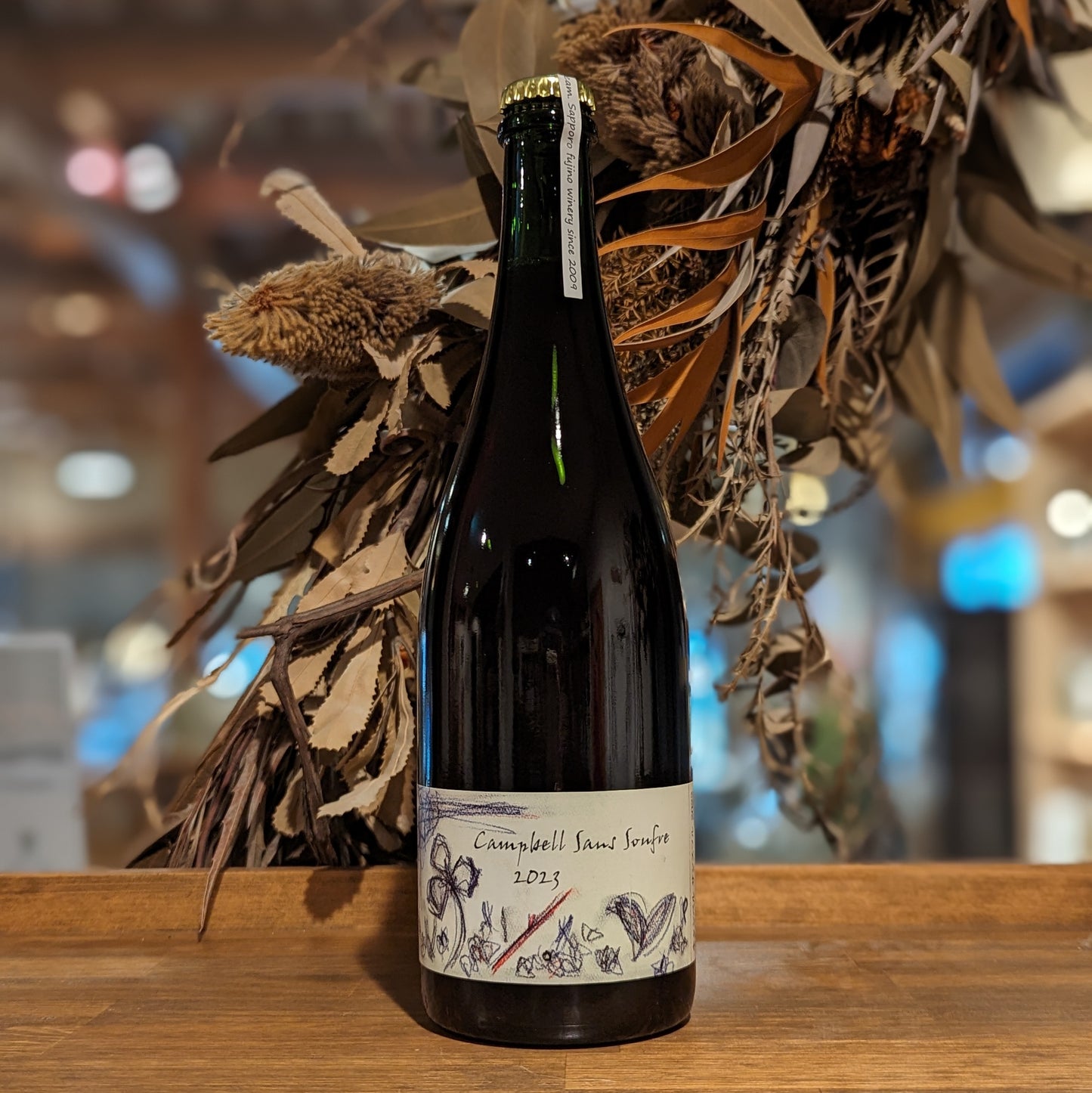 キャンベルサンスフル 2023