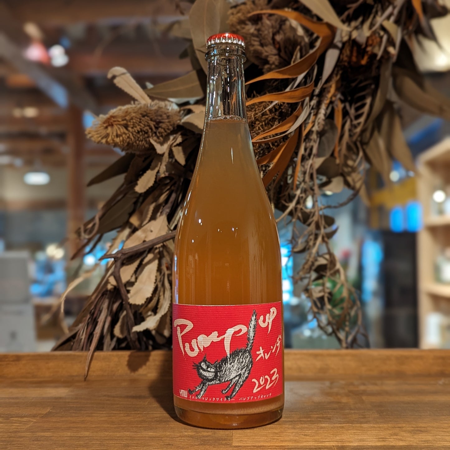 Pump up オレンヂ 2023