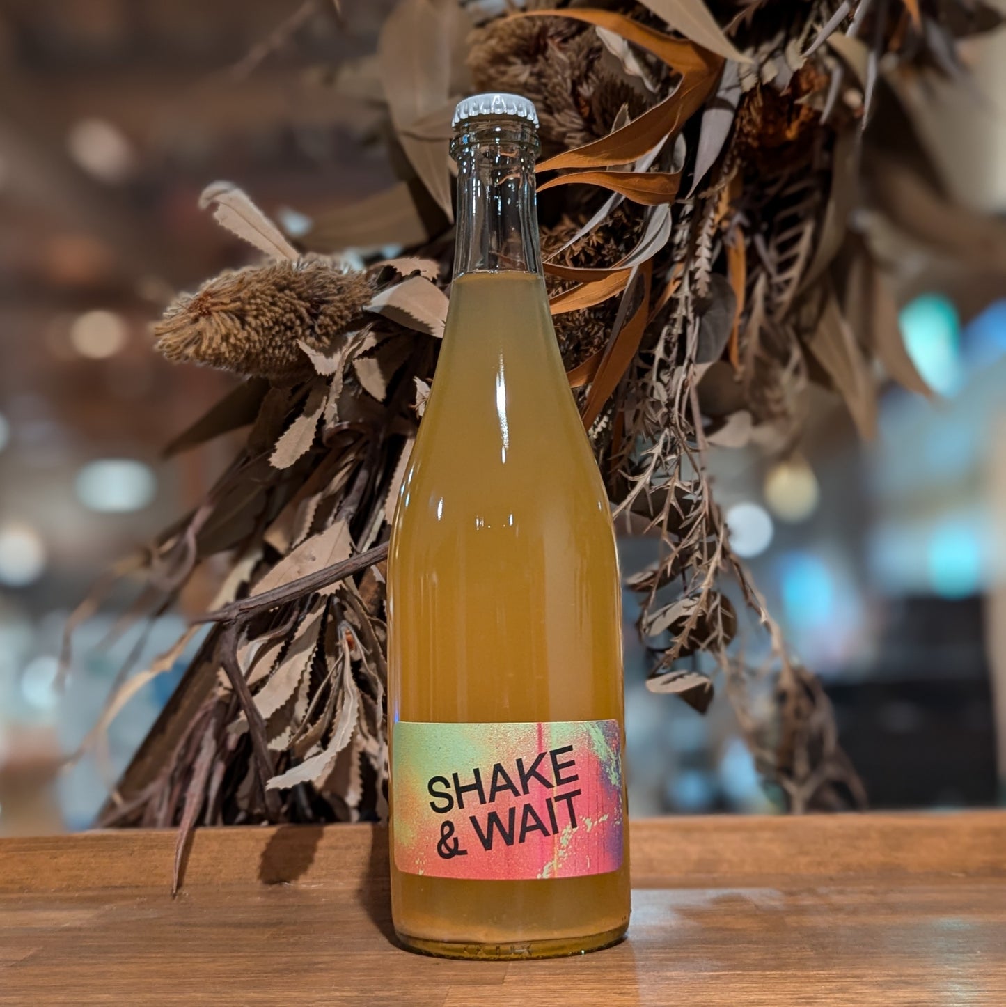 ペットナット オレンジ 2023