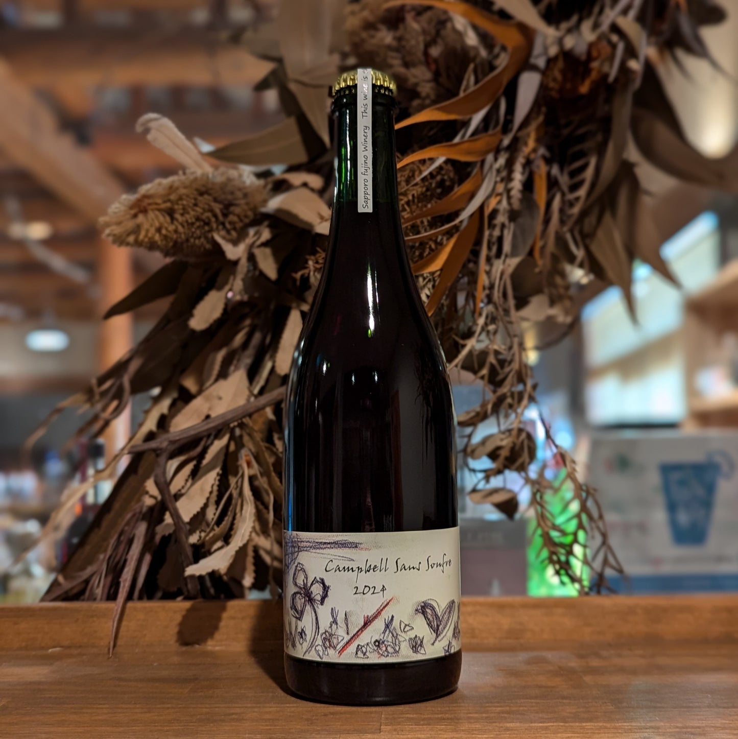 キャンベル サンスフル 2024