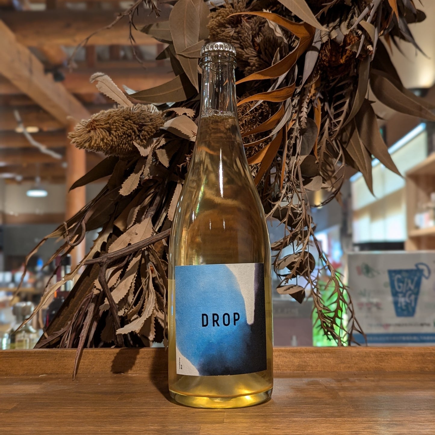 Dormance 休眠 2024