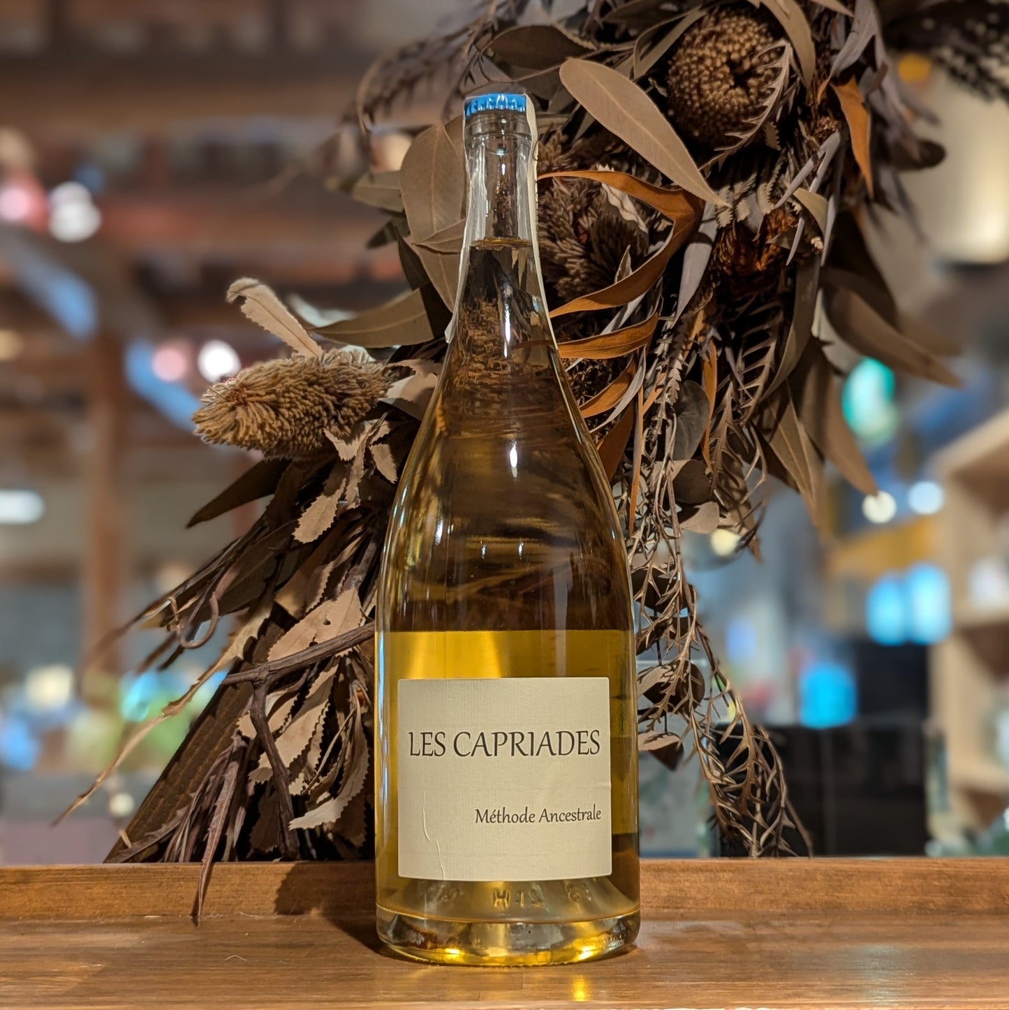 ムニュピノ マグナム 2019