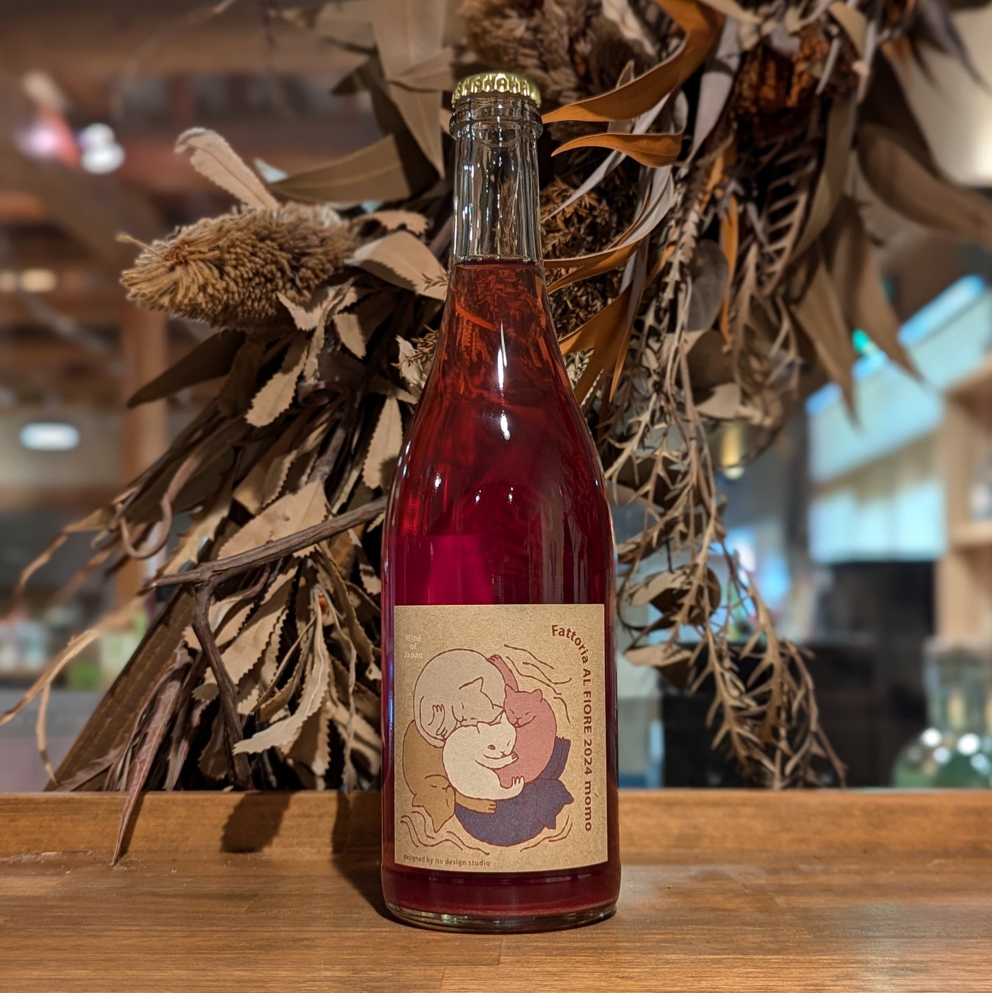 ネコシリーズ momo 2024