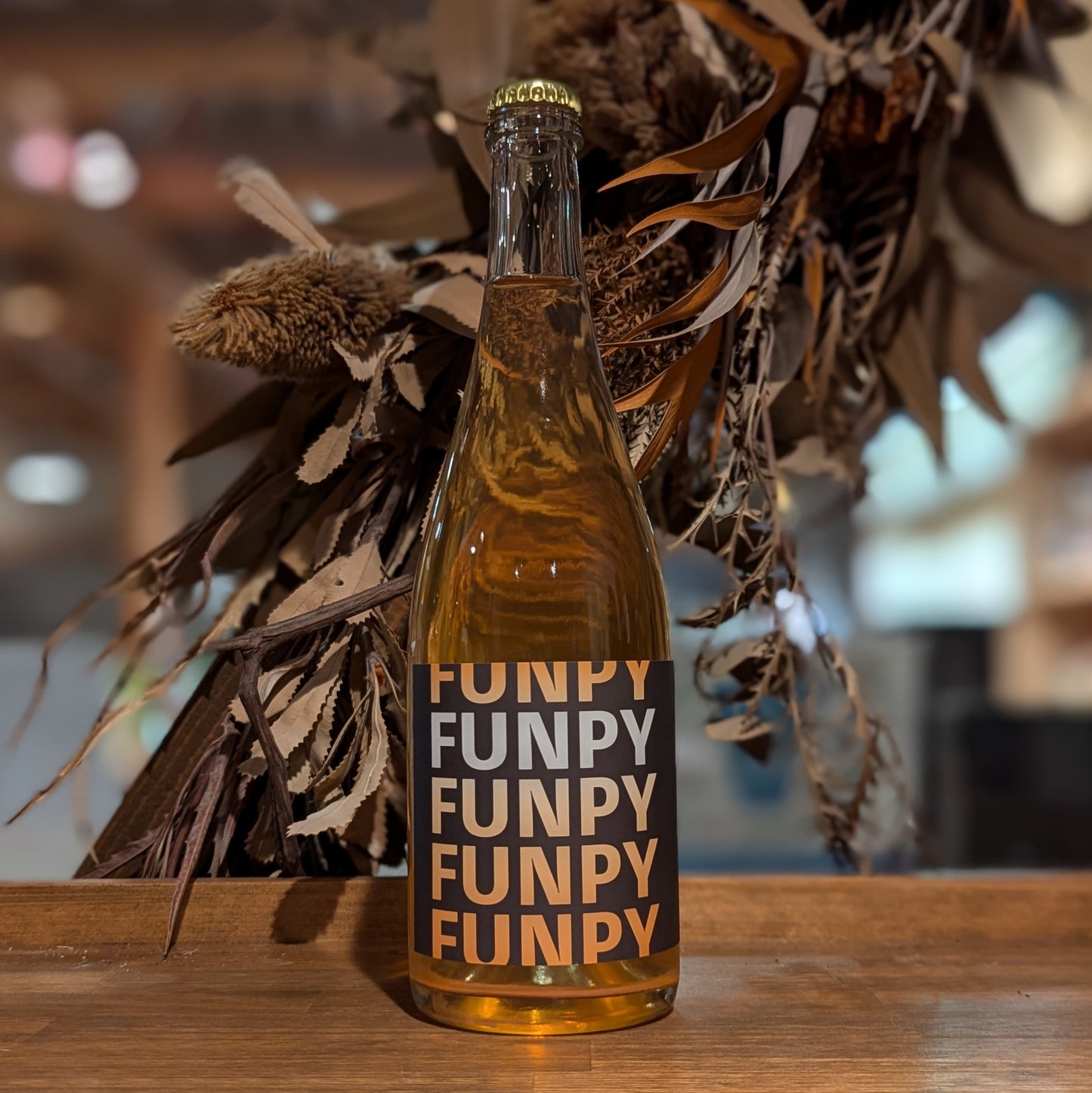 ファンピー オレンジ泡 2024