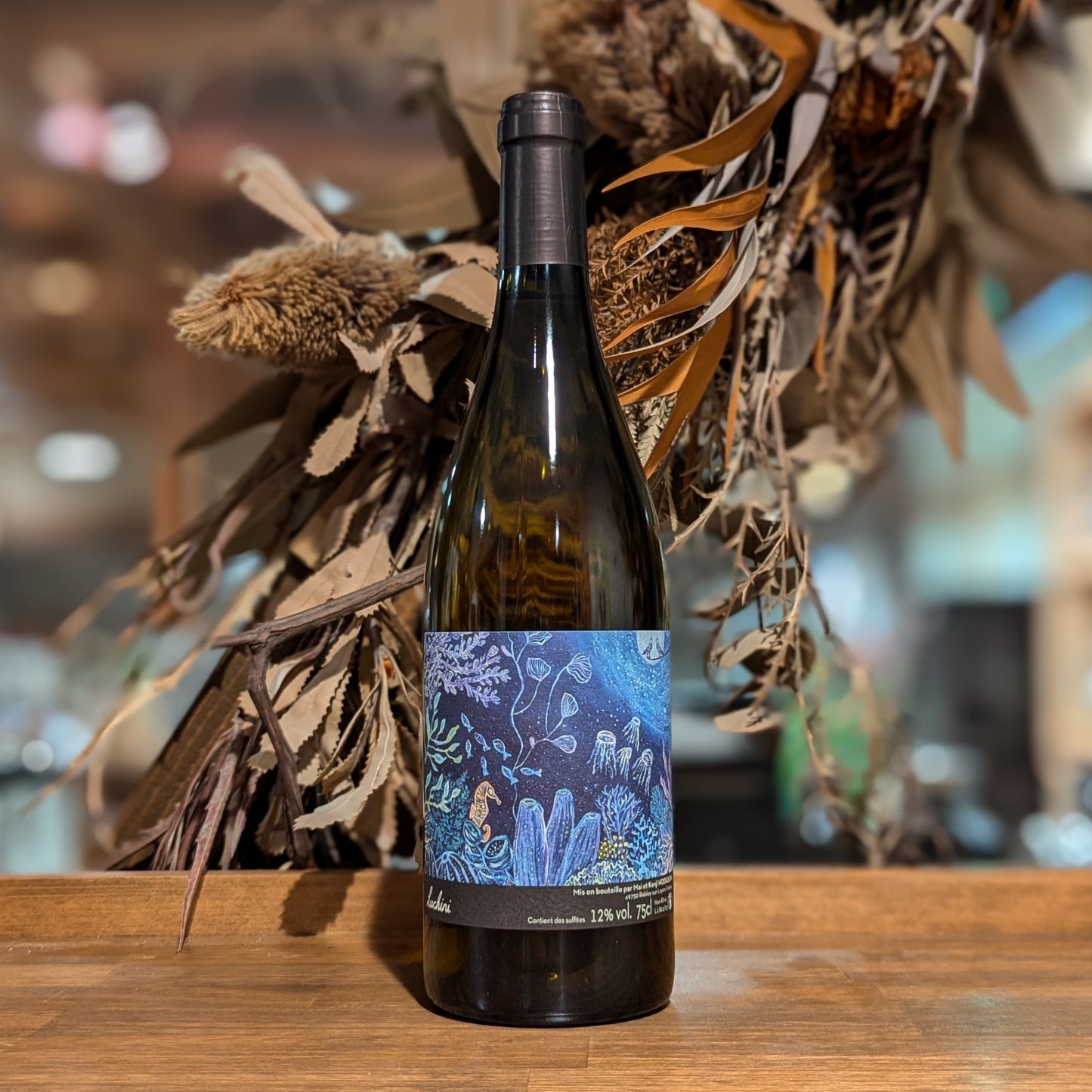 ルッチーニ 2022-2023