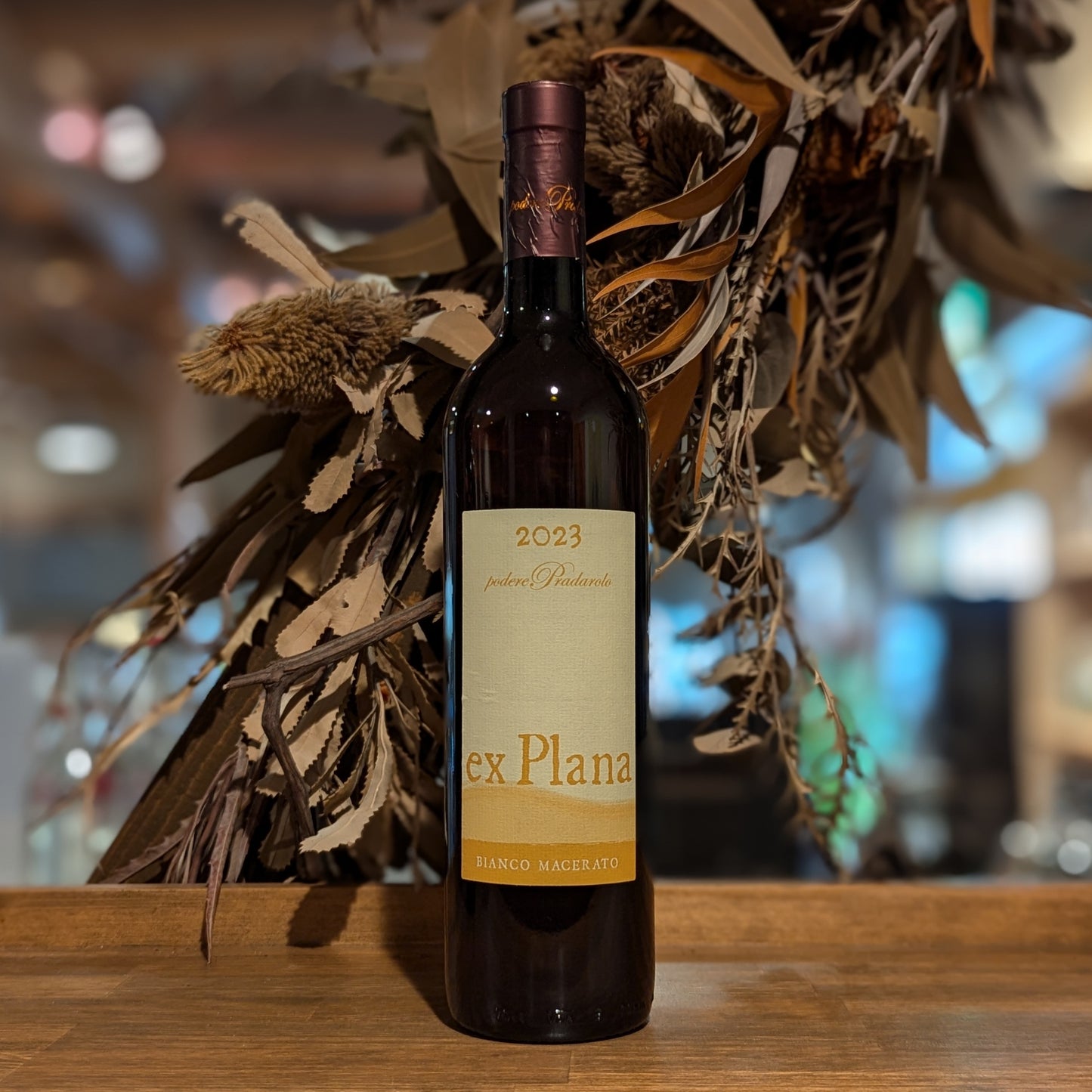 エクス プラナ ビアンコ マセラート 2023