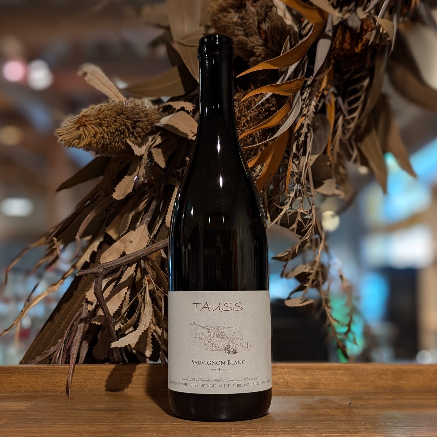 ソーヴィニヨン・ブラン H 2023