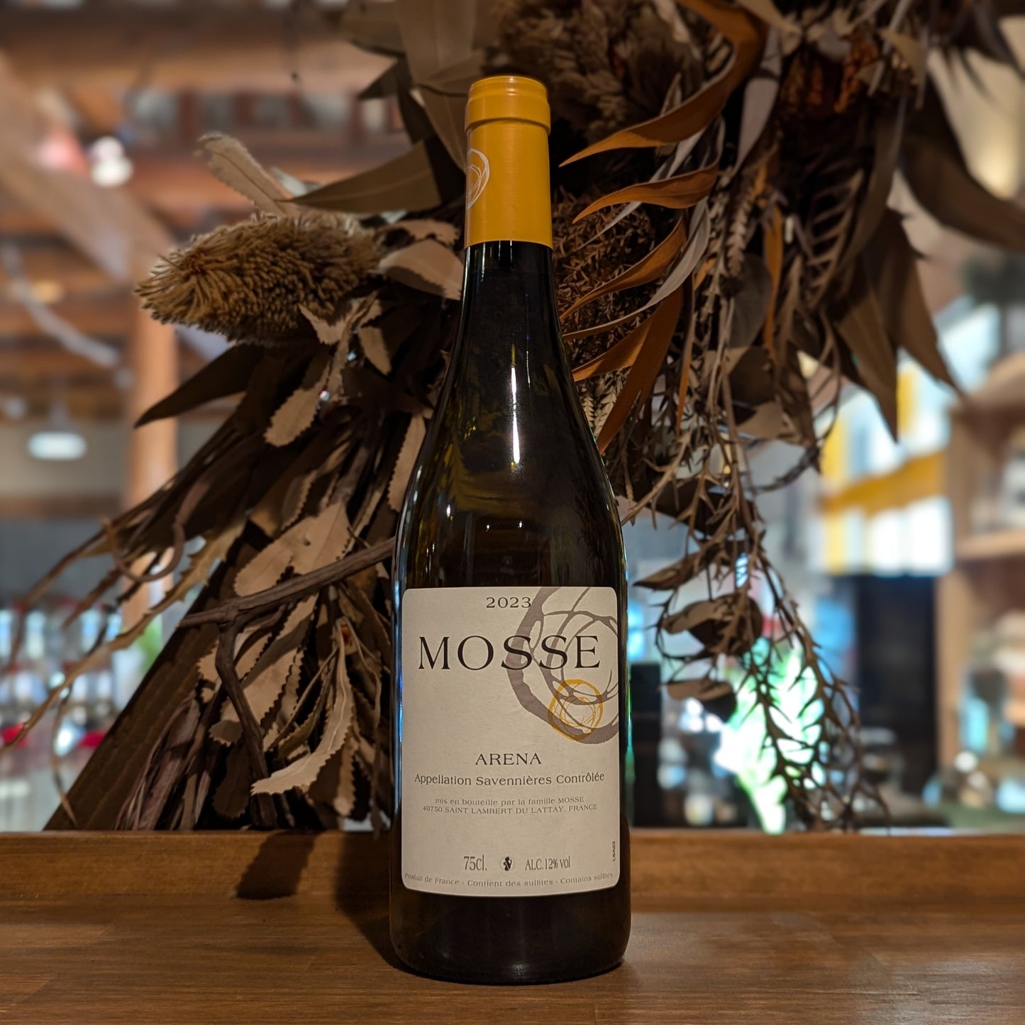 ACサヴニエール アレナ 2023