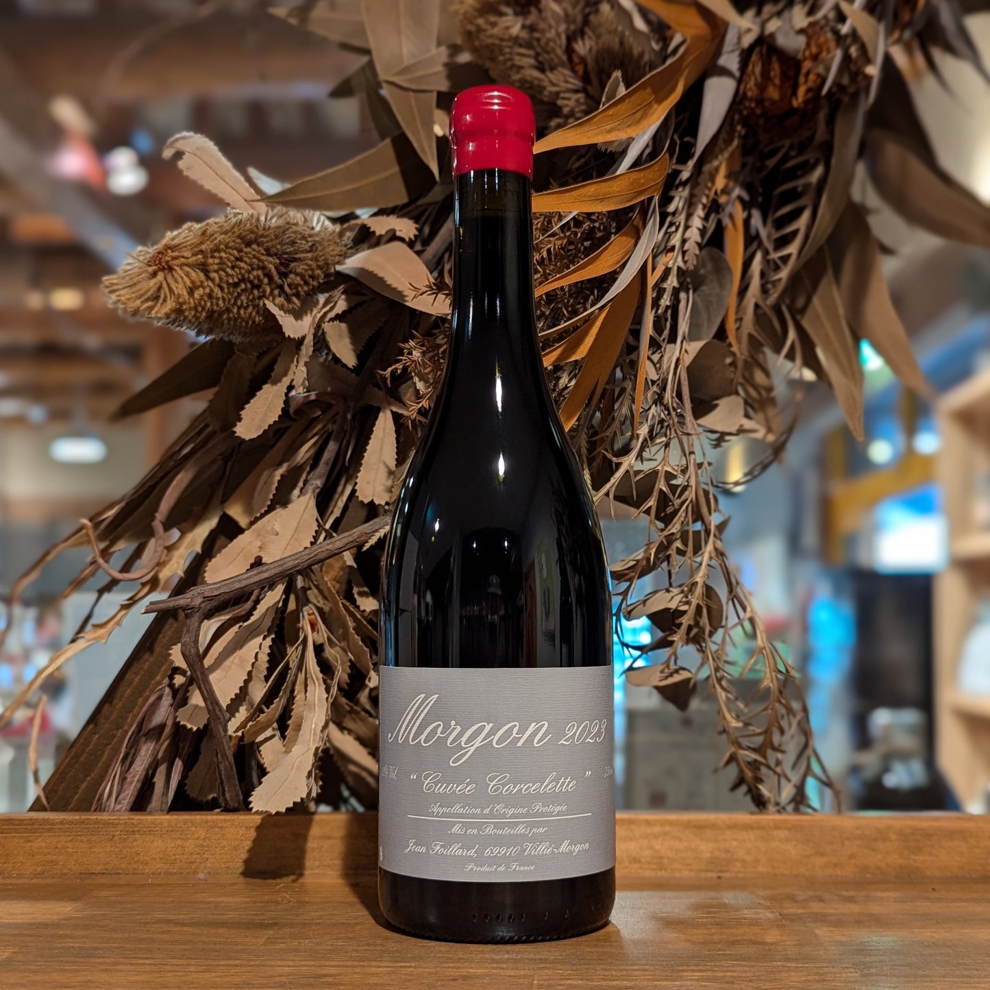 モルゴン・コルスレット 2023