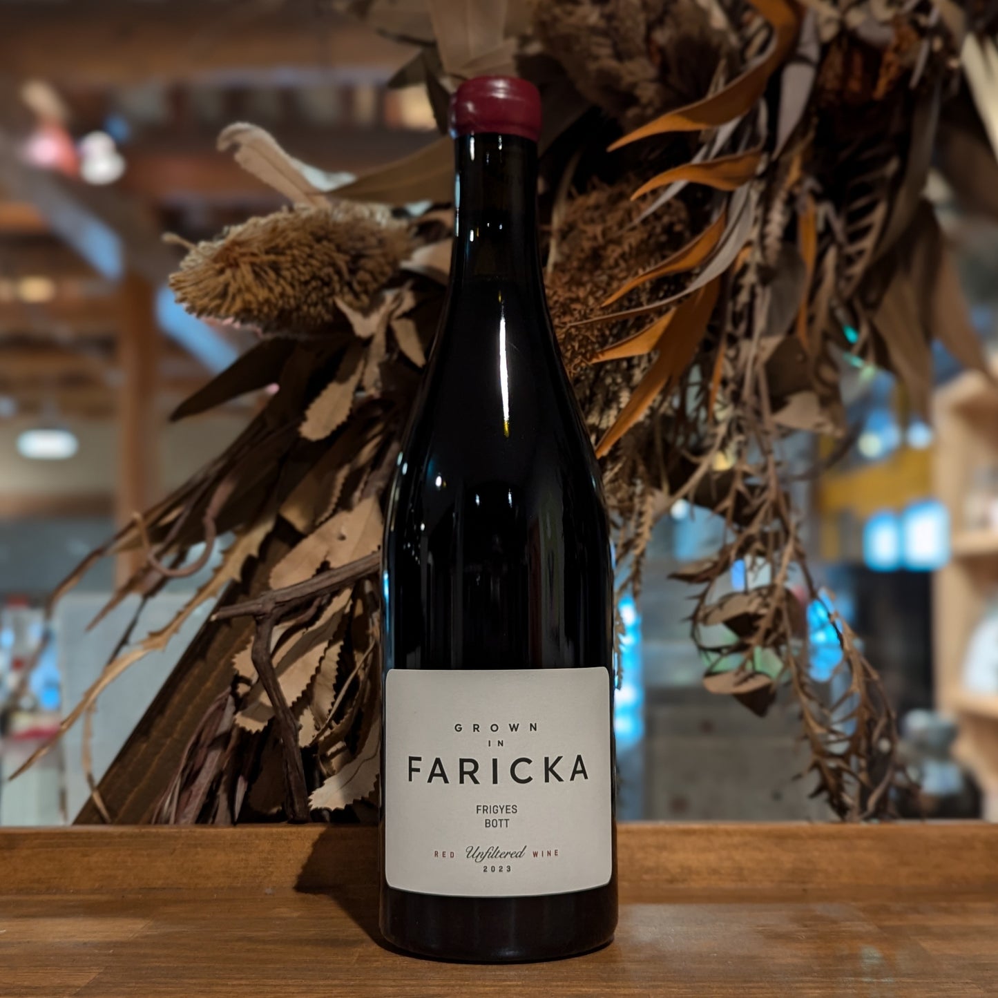 ファリッカ・フランコフカ・モドラ 2023