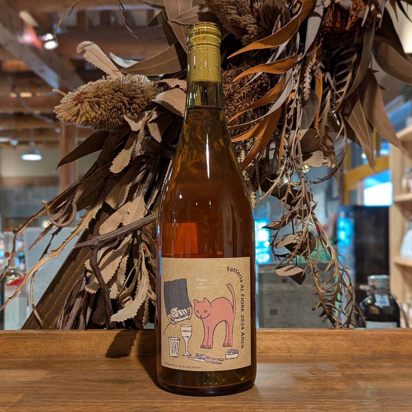 ネコシリーズ Anco 2024