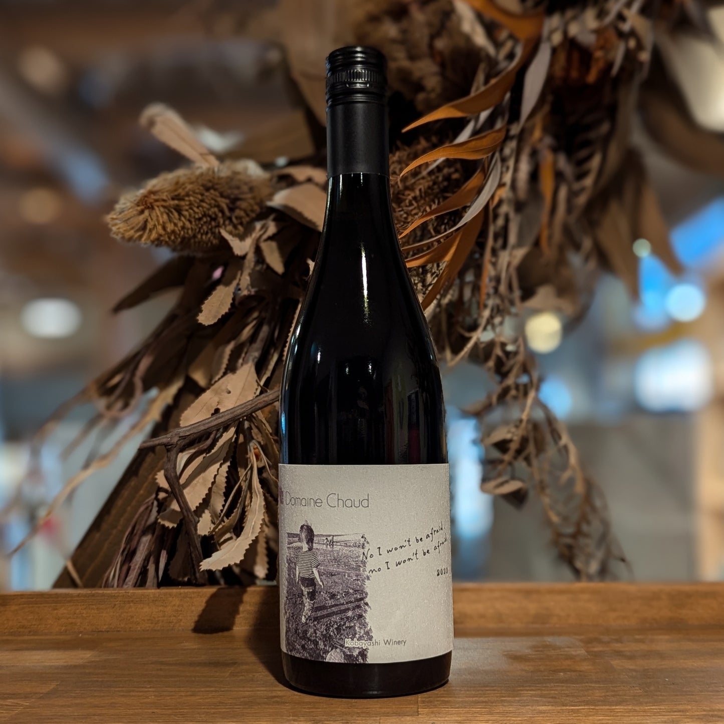 No I won't be afraid 2023 / そう怖くなんてないんだ