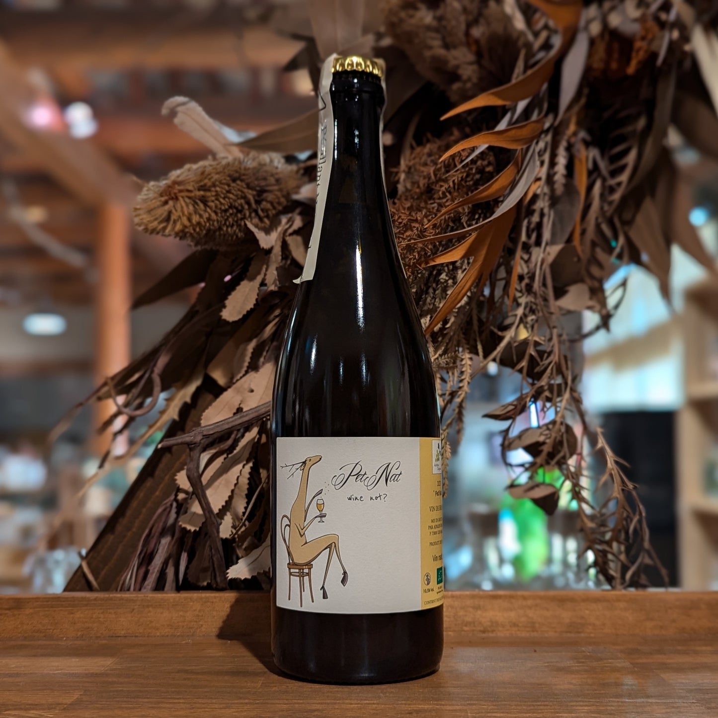 ペット・ナット 2023