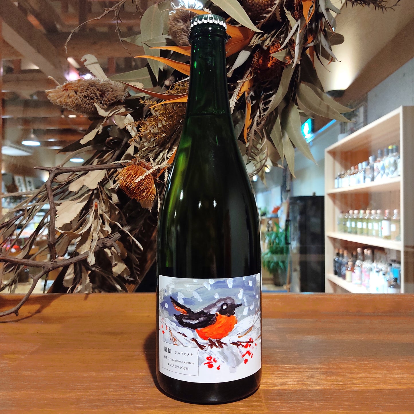 尉鶲 (じょうびたき) 2020