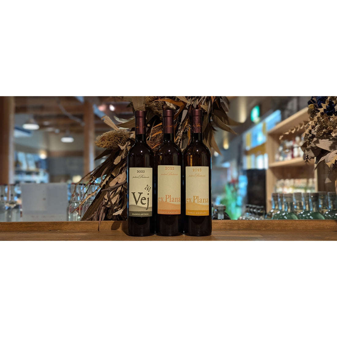 【今週の海外ワイン入荷情報】ポデーレ・プラダローロ