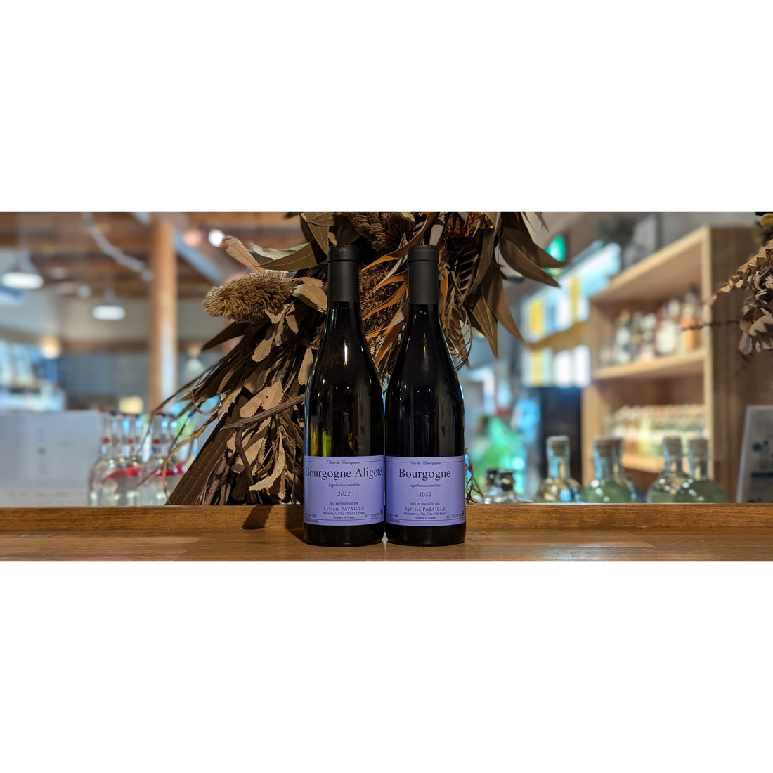 【今週の海外ワイン入荷情報】ドメーヌ・シルヴァン・パタイユ