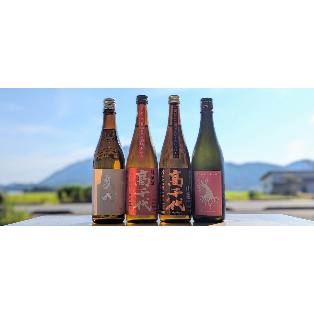 【今週の日本酒入荷情報】