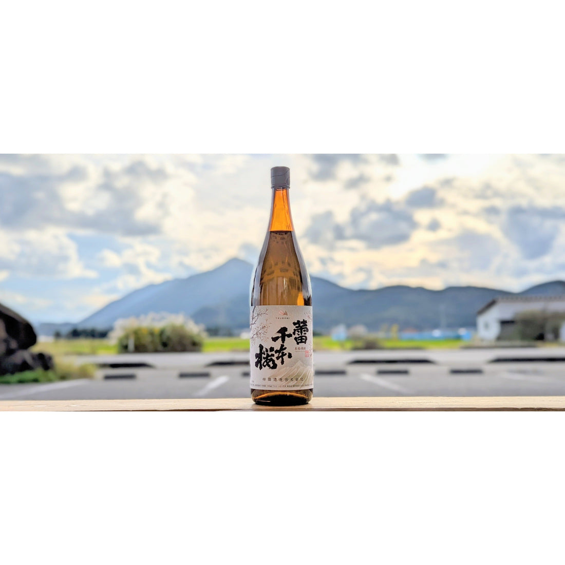 【今週の焼酎の入荷情報】