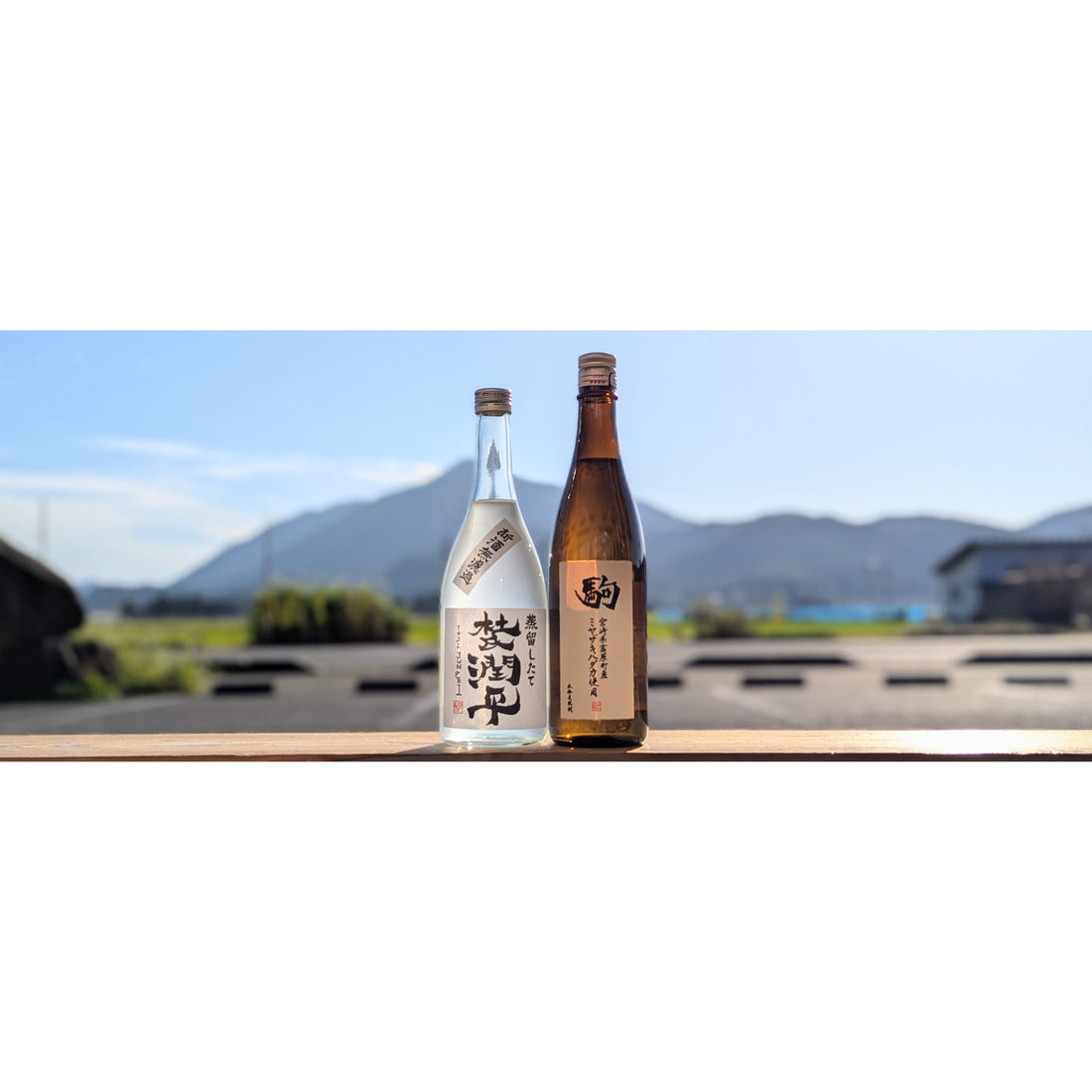 【今週の焼酎の入荷情報】