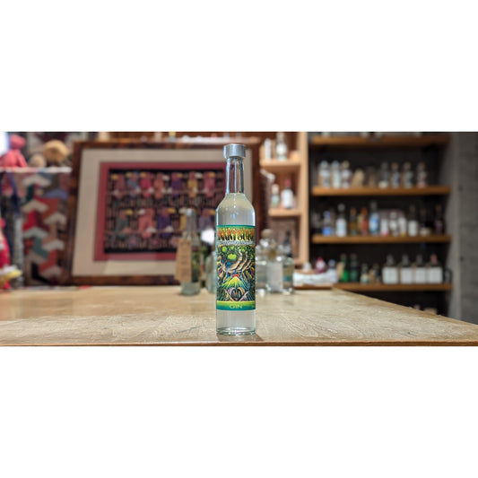 【今週のスピリッツ入荷情報】