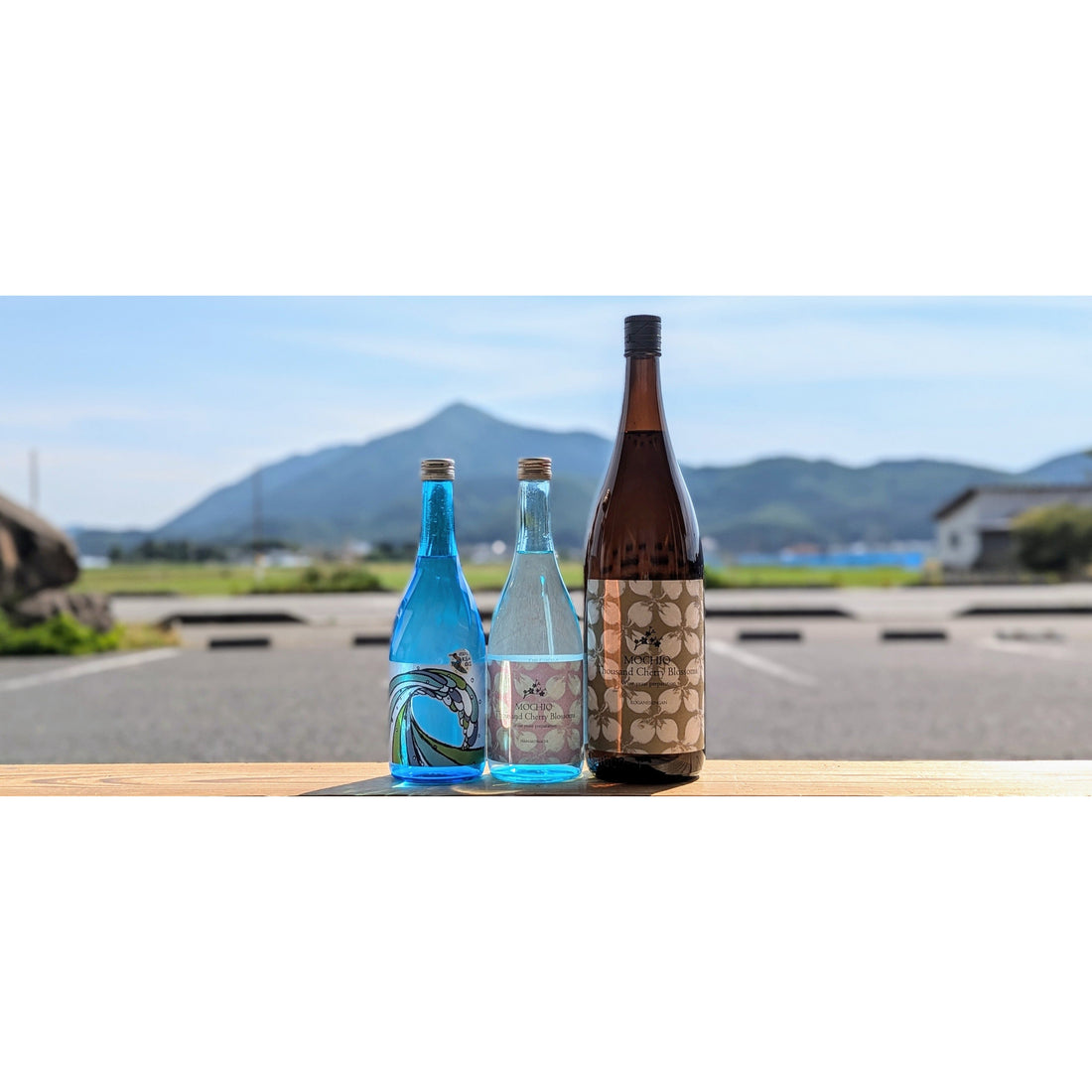 【今週の焼酎の入荷情報】