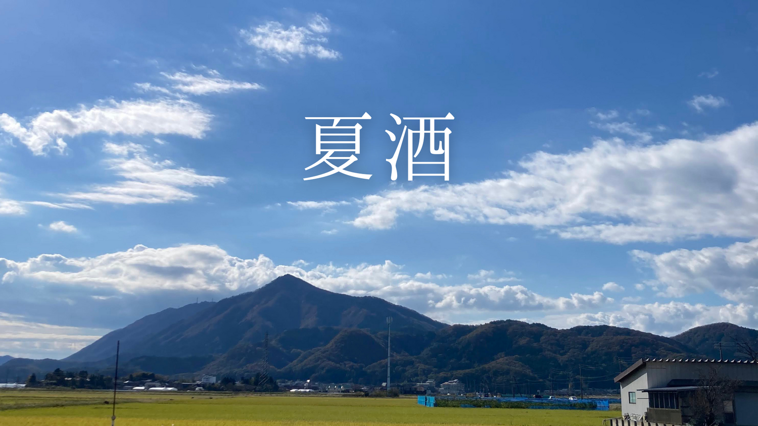 2026年 夏酒
