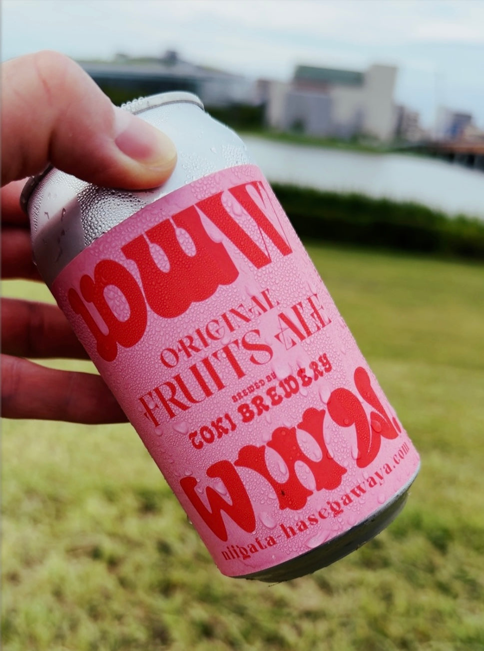 WWW v1.1　トリプルダブリュー