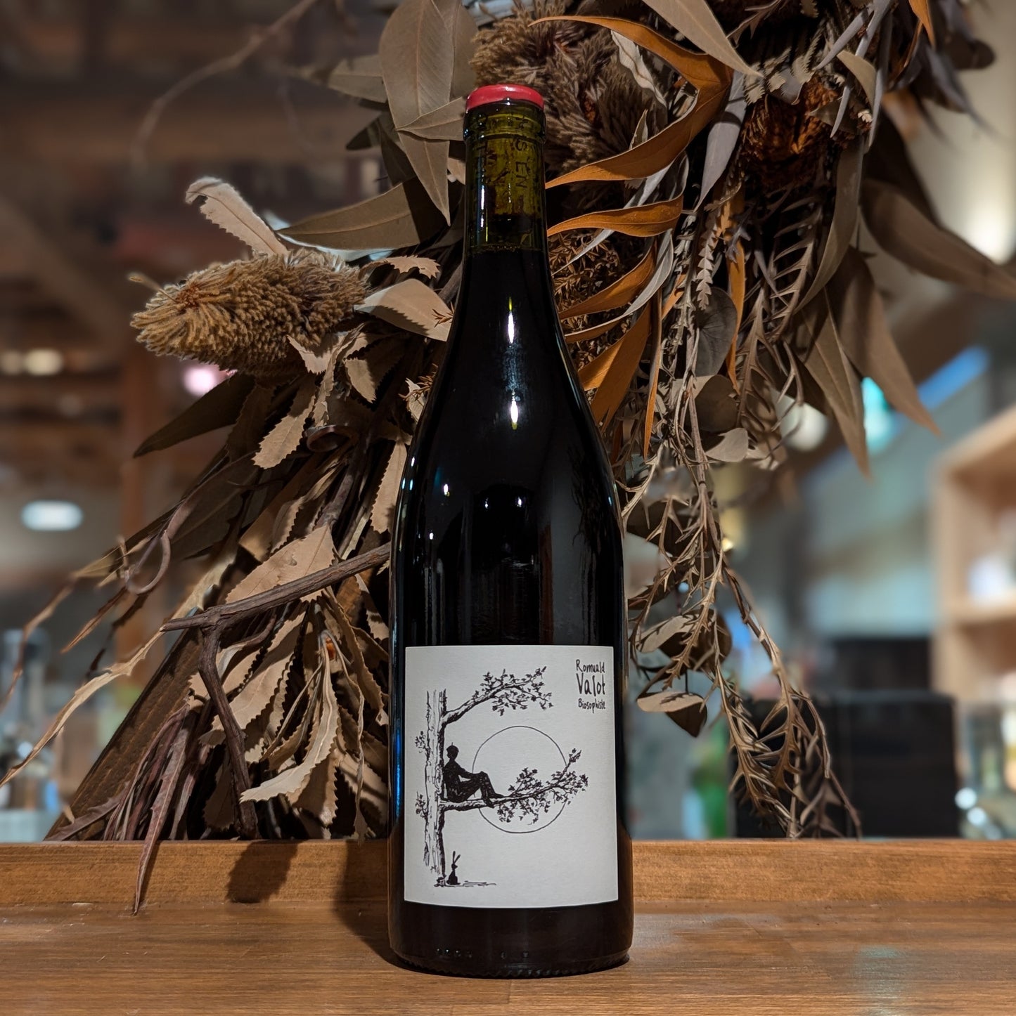 シルーブル 2023