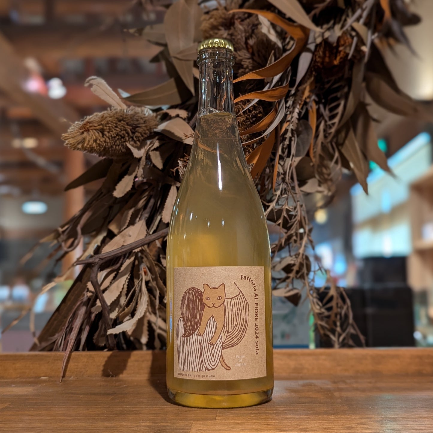 ネコシリーズ sola 2024