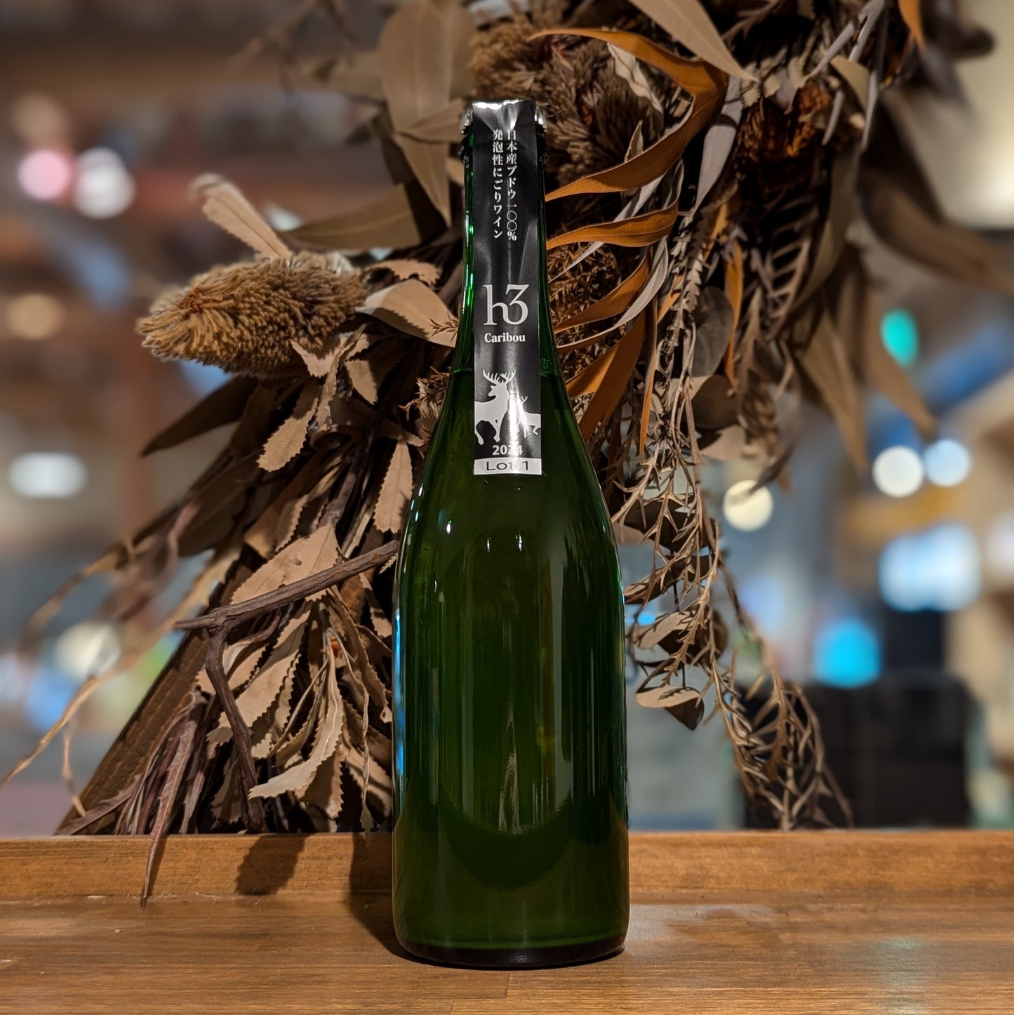 h3 カリブー 2024 Lot1