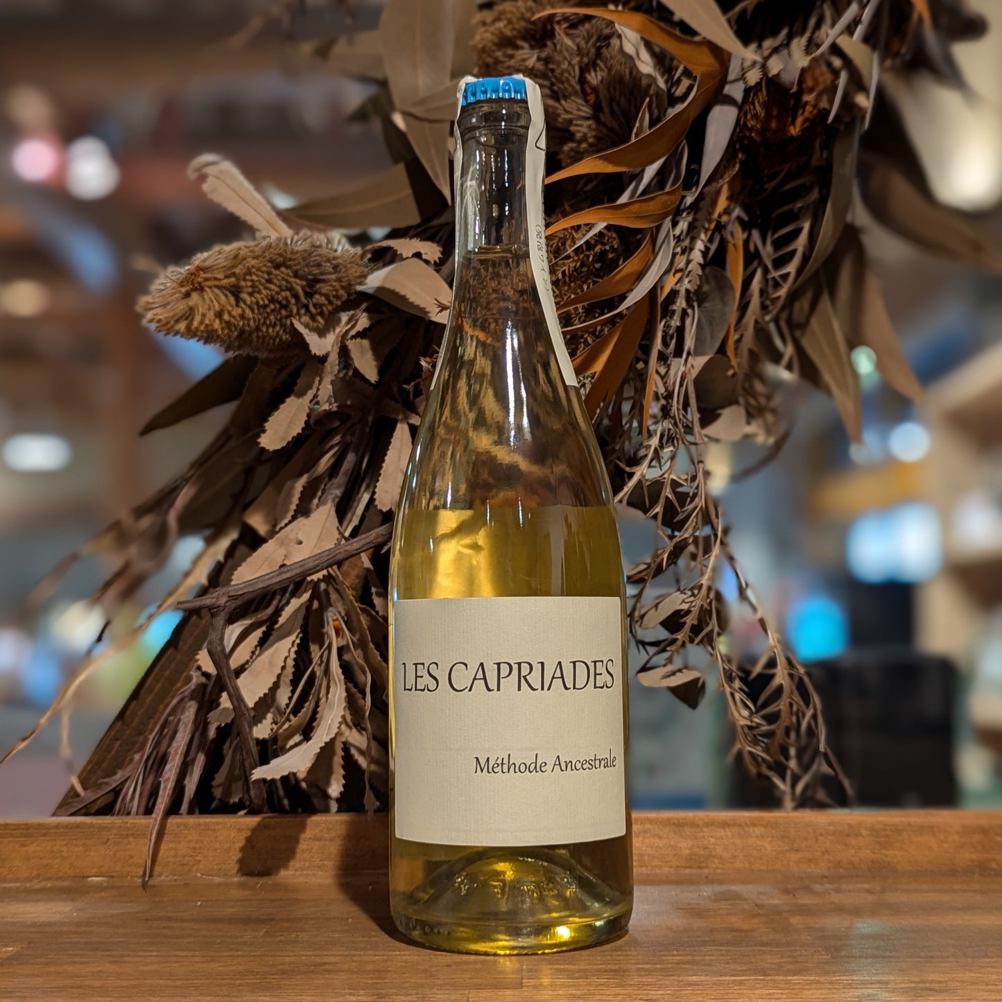 ペットセック・ムニュピノ 2021