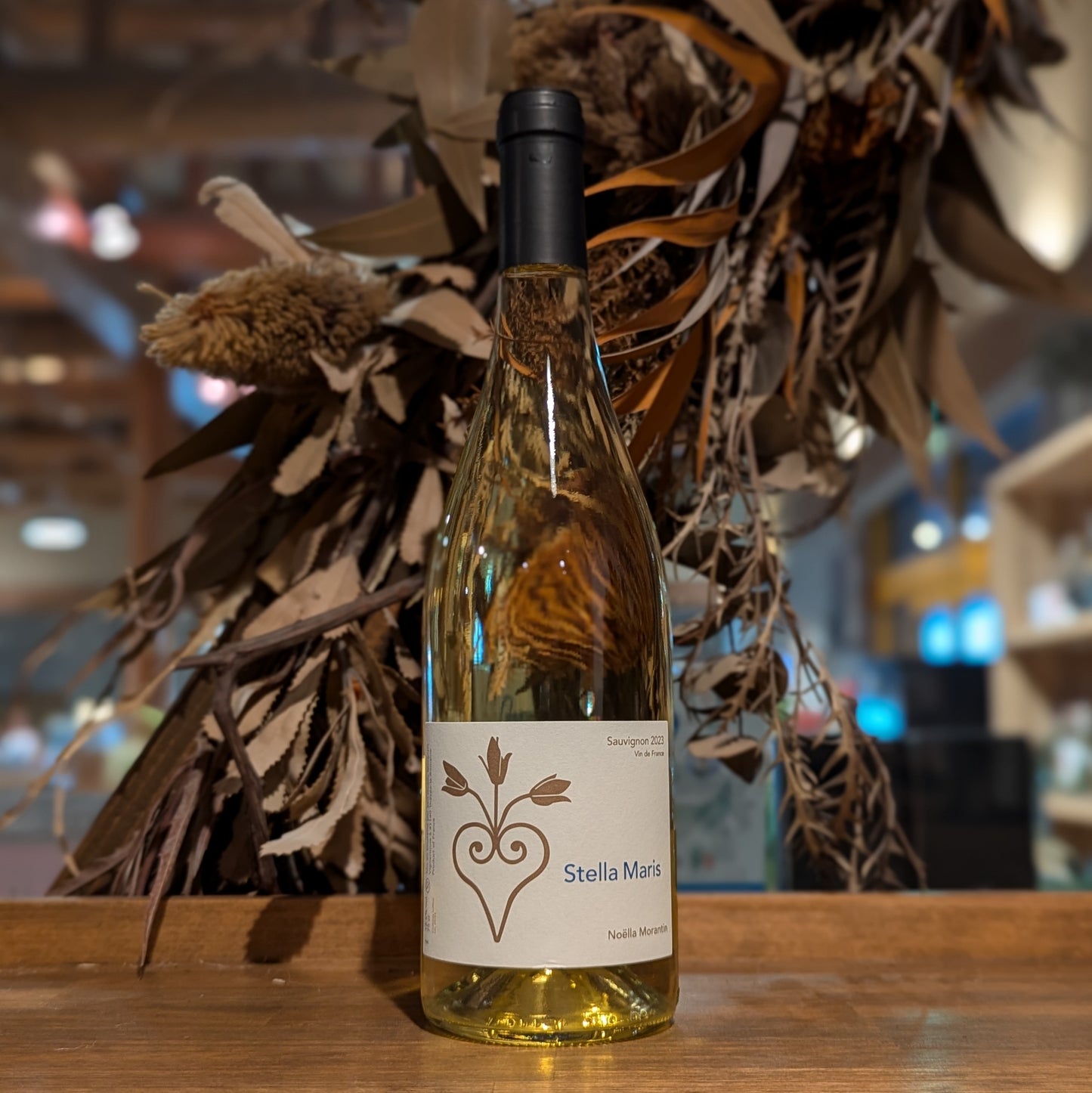 ステラ・マリス ソーヴィニヨン 2023