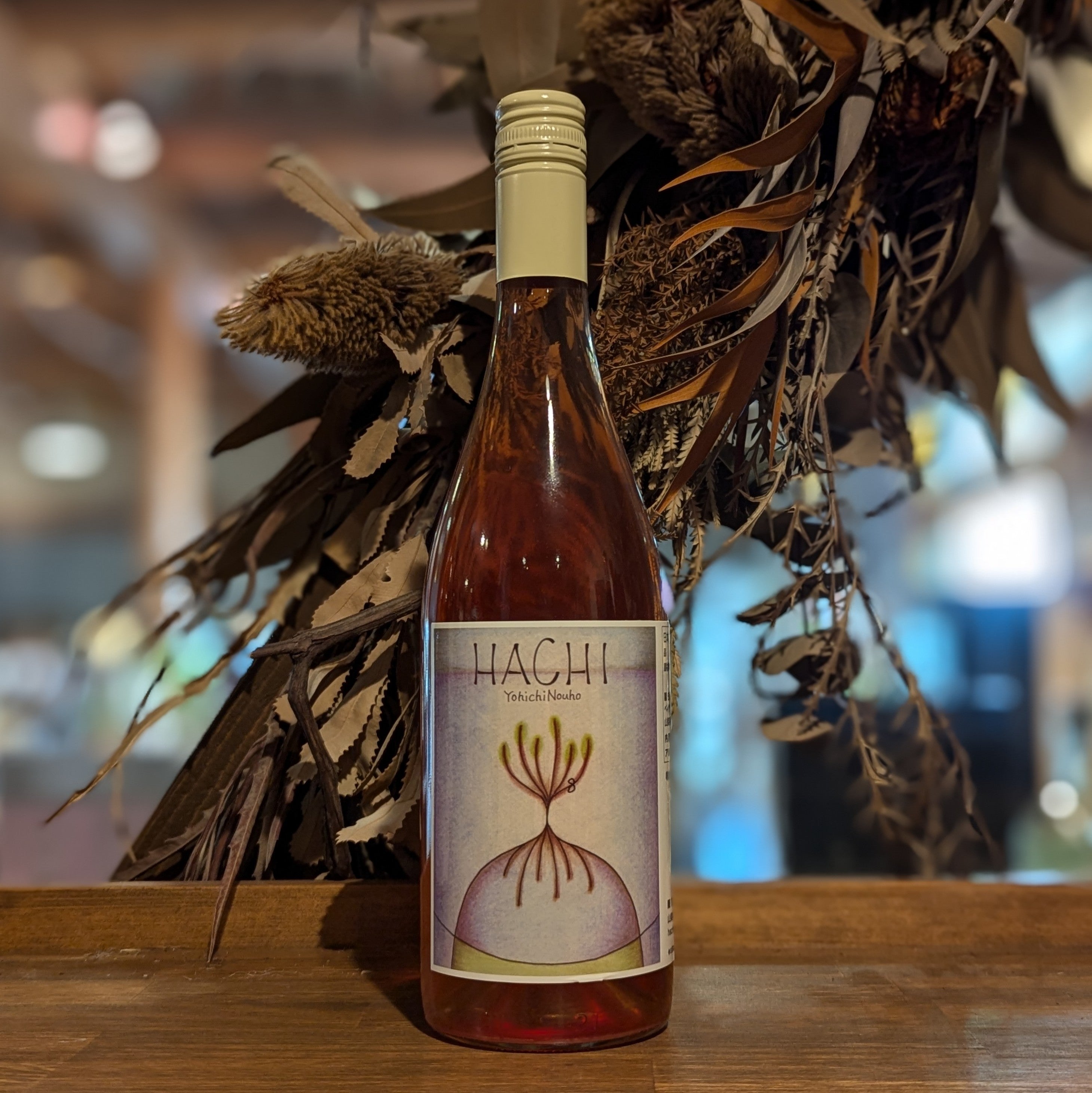HACHI 2024 – 新潟 長谷川屋
