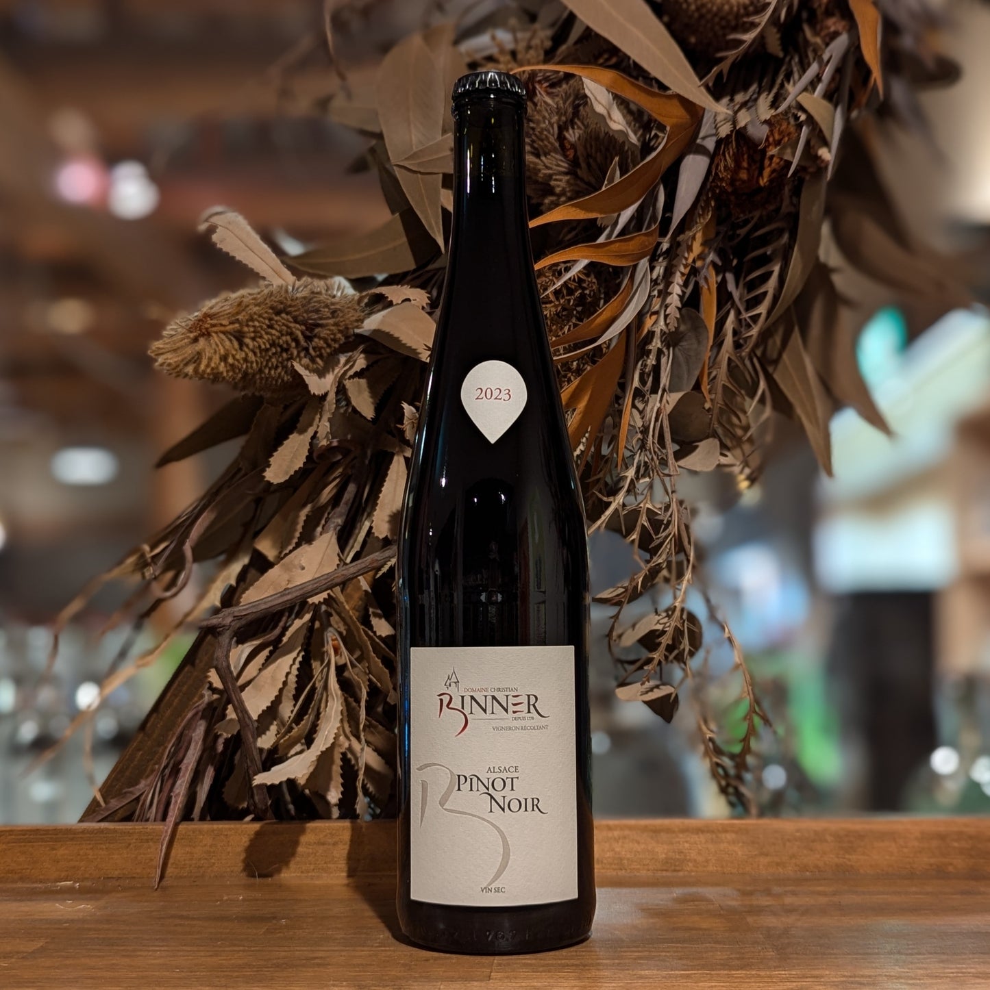 ピノノワール 2023