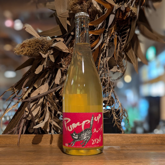 Pump up オレンヂ 2024