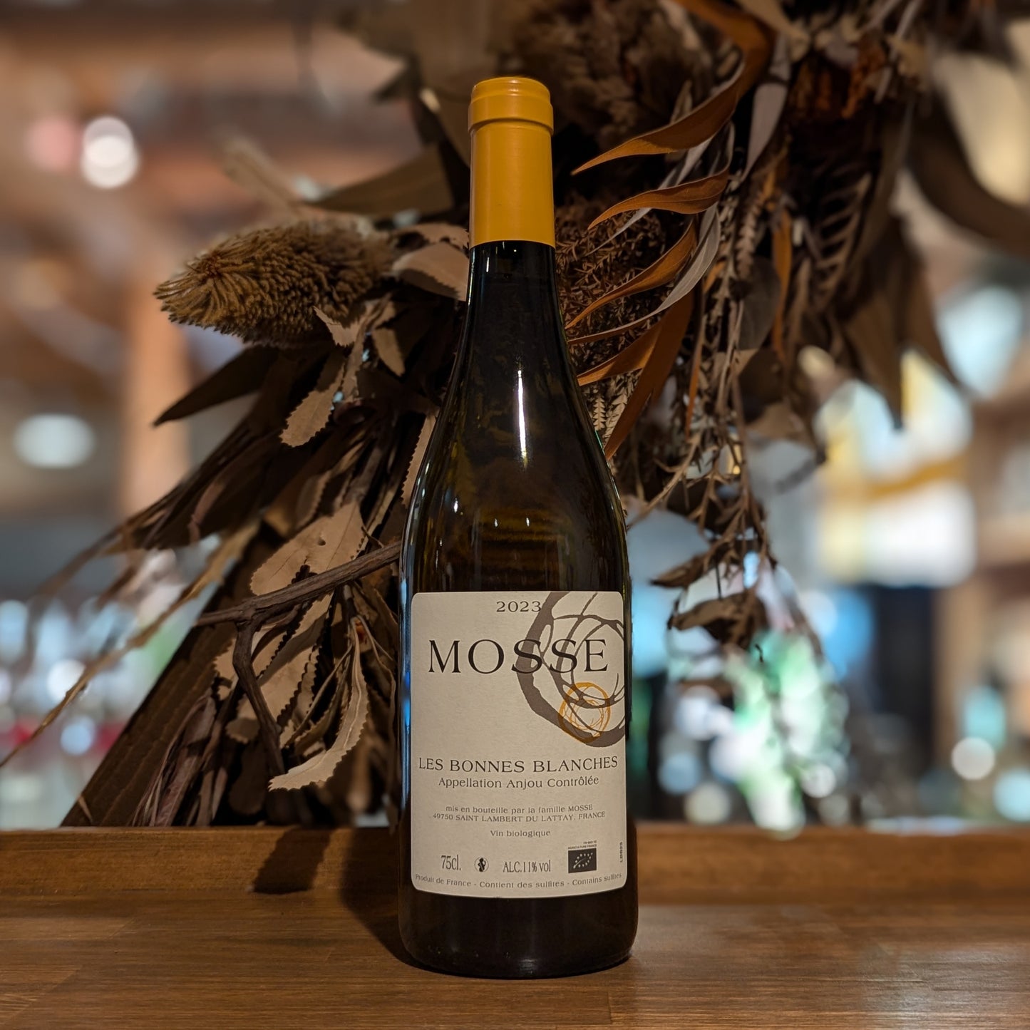 ACアンジュ レ・ボンヌ・ブランシュ 2023