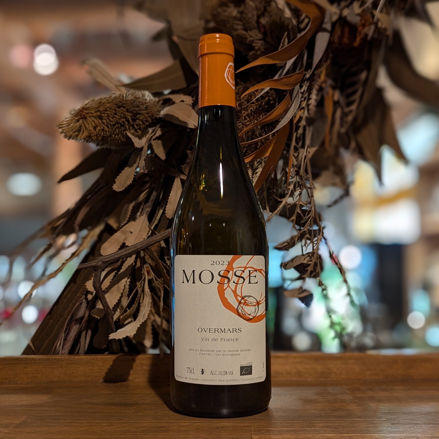 オーフェルマルス 2023