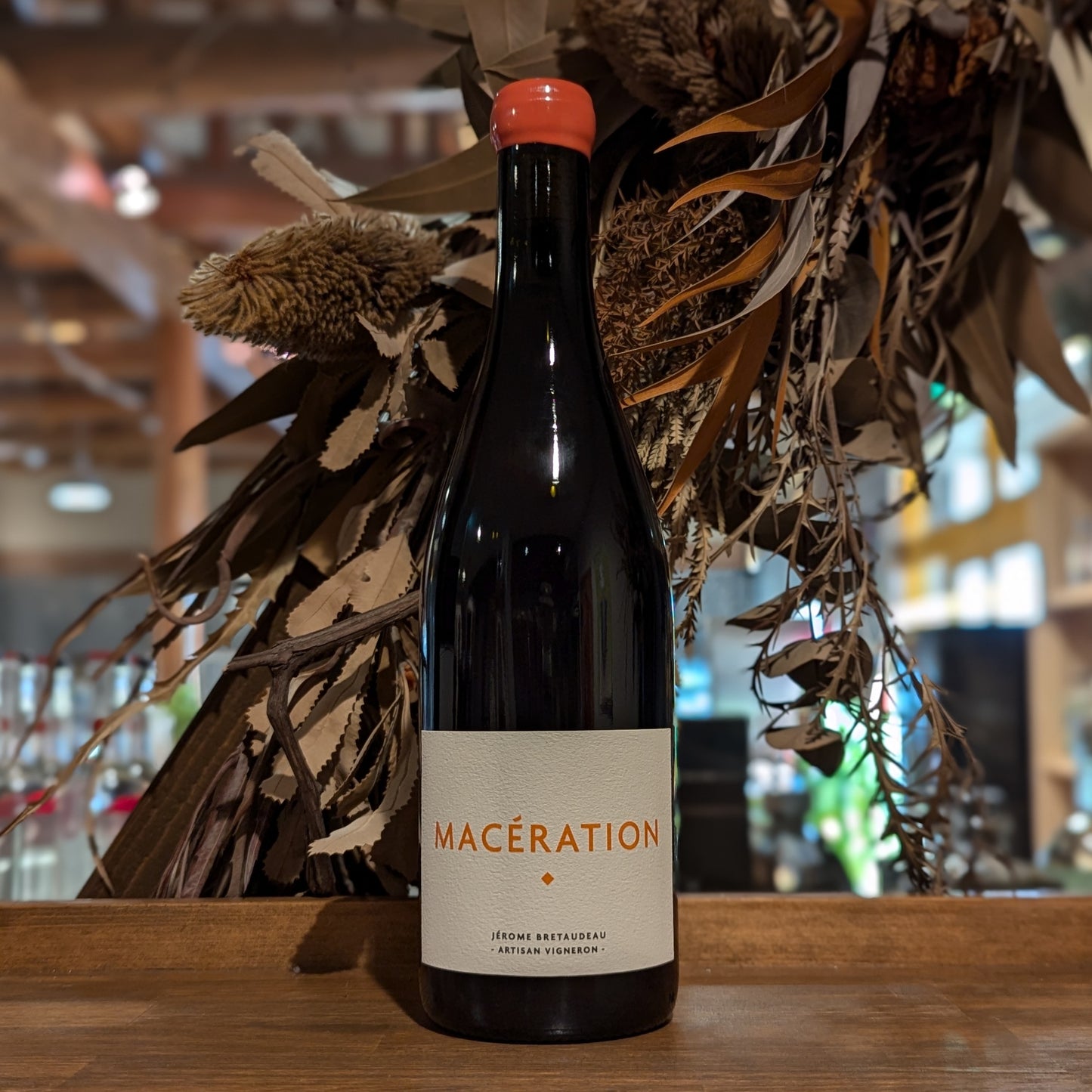 マセラシオン 2023