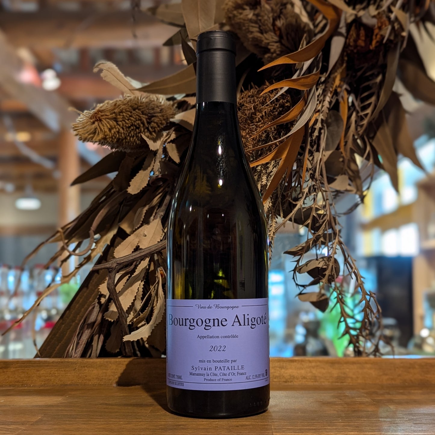 ブルゴーニュ・アリゴテ 2022