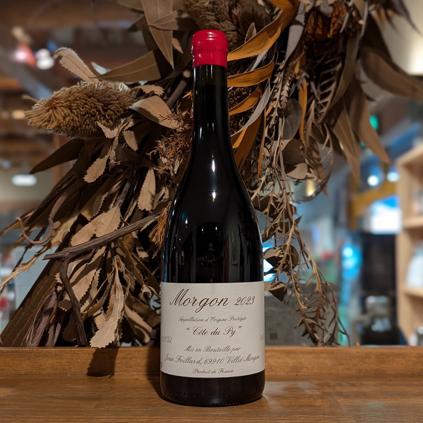 モルゴン・コート・デュ・ピィ 2023