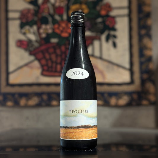REGULUS 2024 vol.3