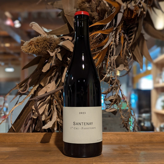 サントネイ 1級パスタン 2023