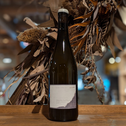 オートクトン 2022