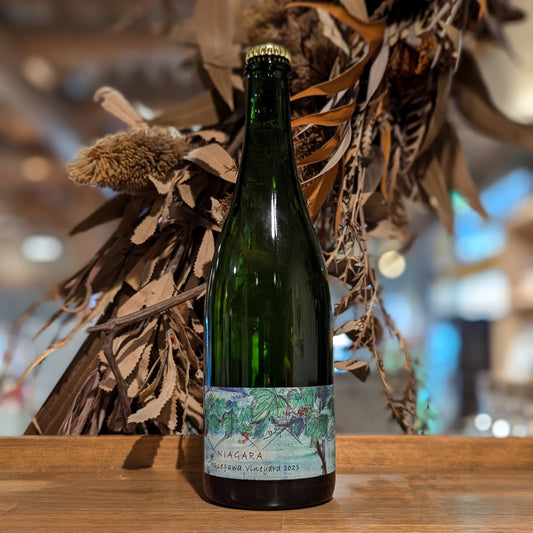 ナイヤガラ ハセガワヴィンヤード 2025