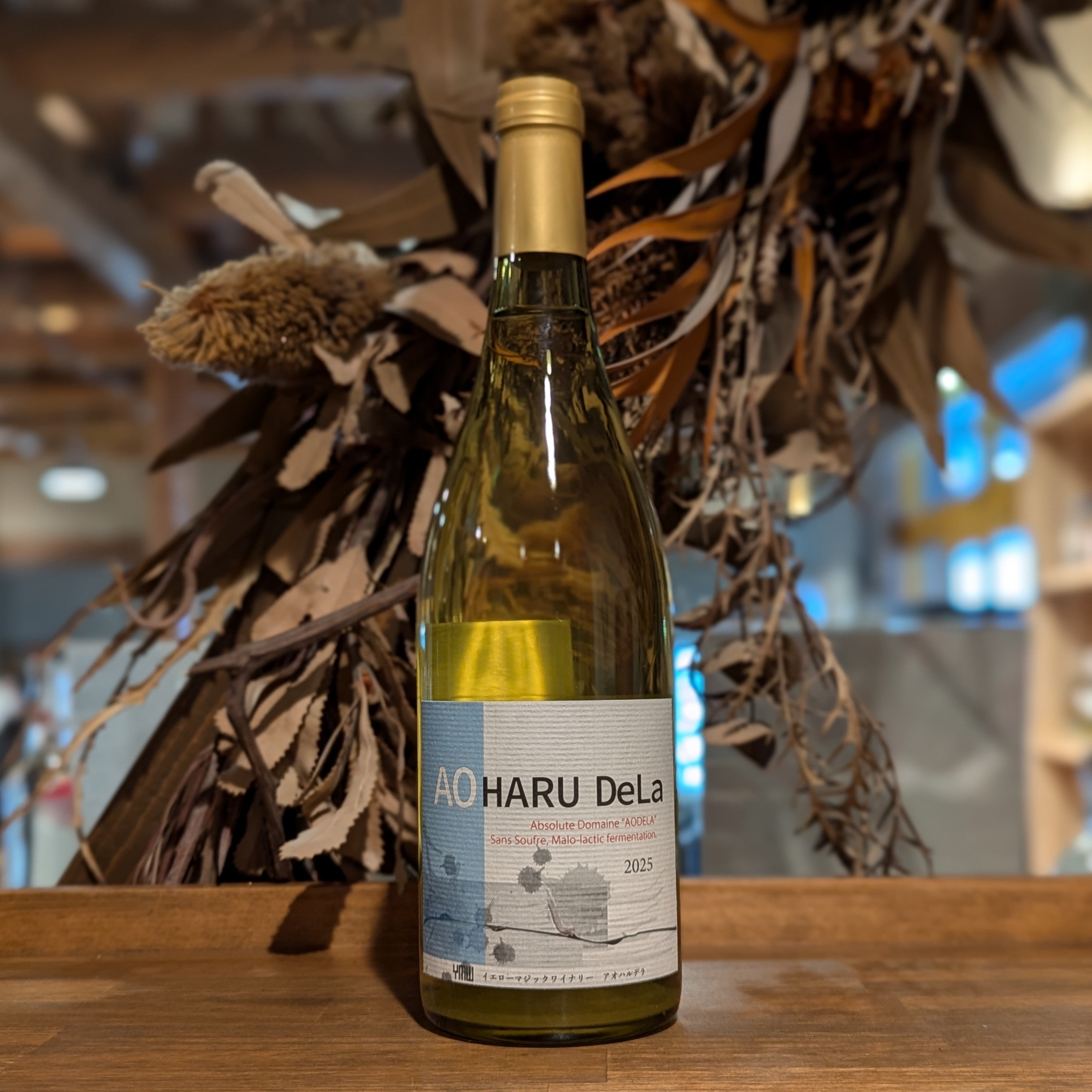 アオハルデラ 2024 – 新潟 長谷川屋