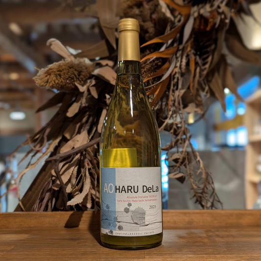 アオハルデラ 2024