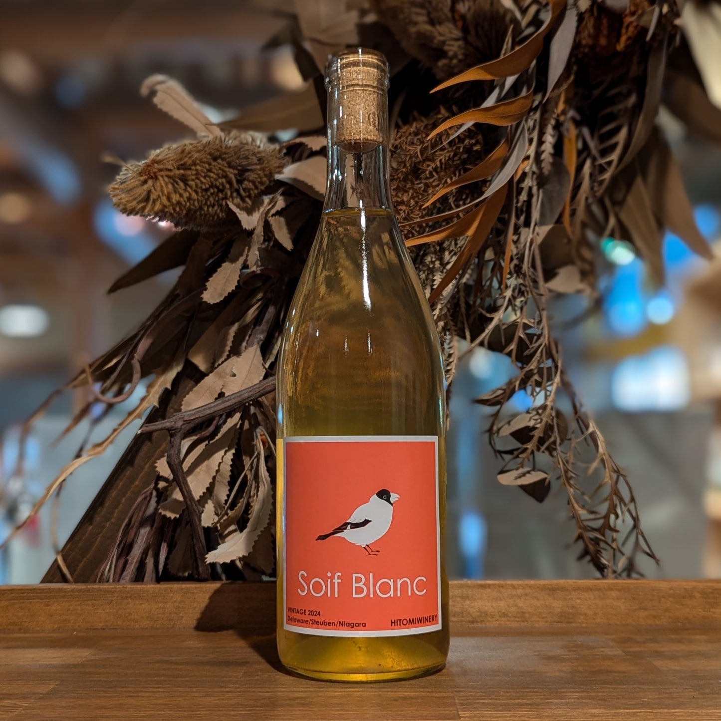 ソワフ ブラン 2024