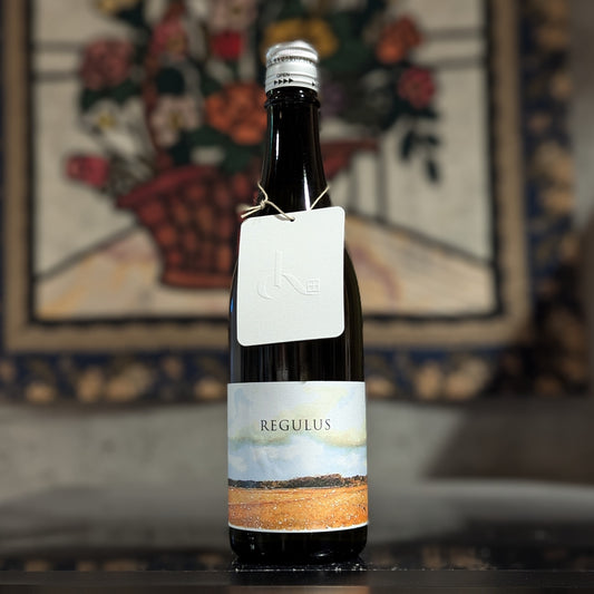 REGULUS 2024 vol.4-1